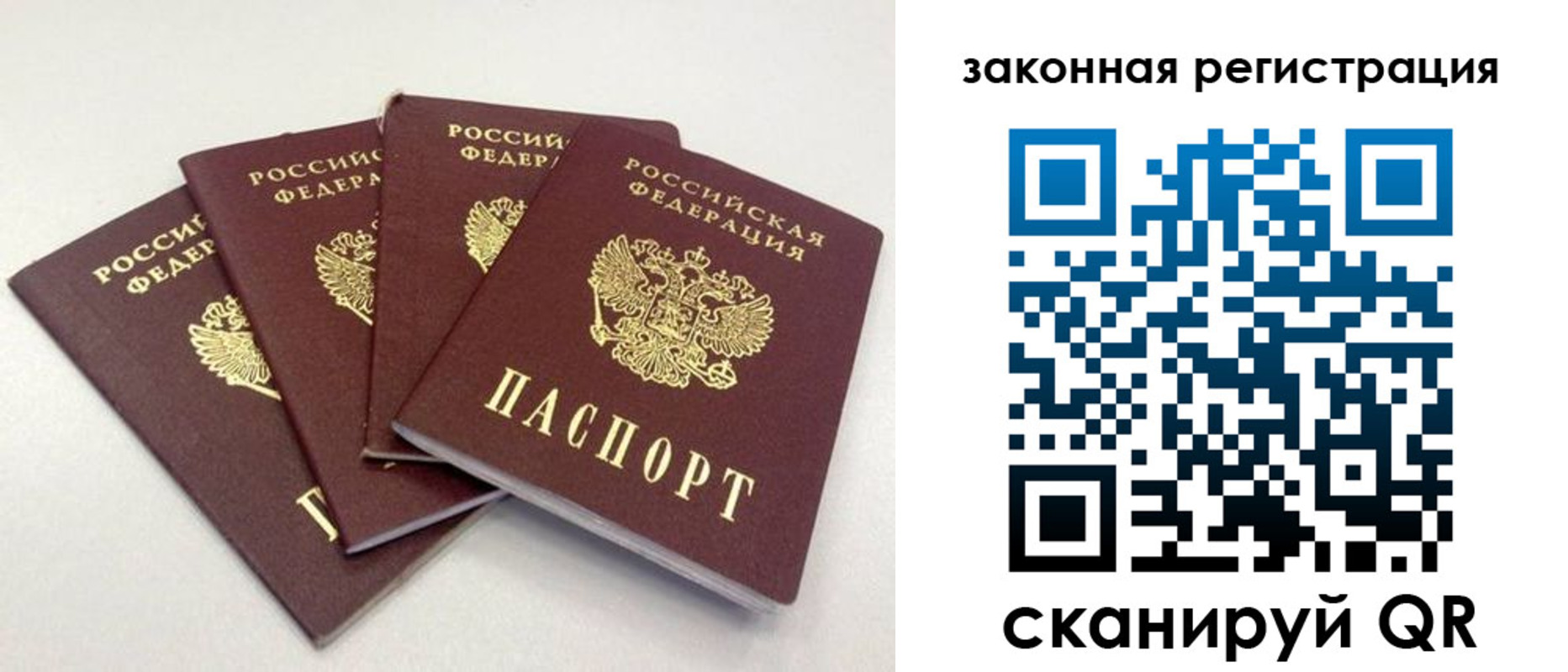 временная прописка в Чаплыгине